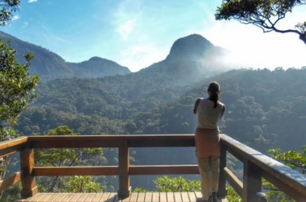 Passeio Floresta da Tijuca e Parque Lage Passeio Floresta da Tijuca e Parque Lage