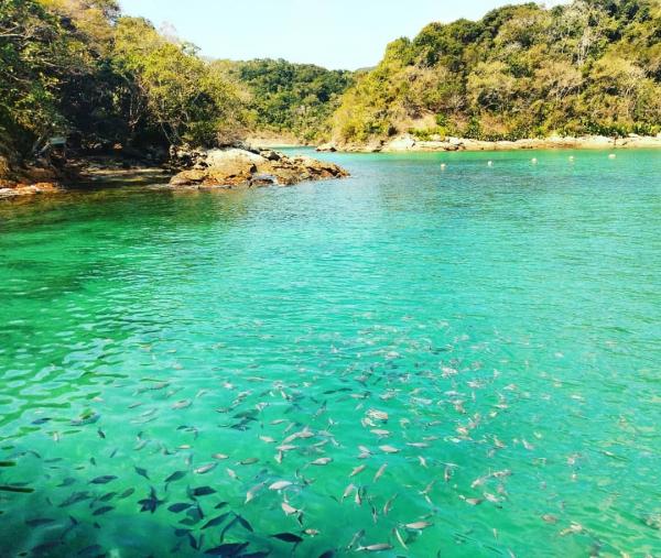 Passeio Angra e Ilha Grande saindo do Rio