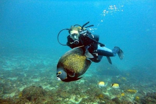 Mergulho com Cilindro em Arraial do Cabo