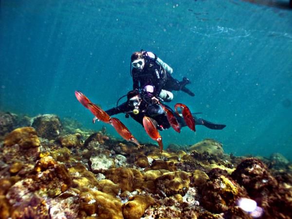 Mergulho com Cilindro em Arraial do Cabo