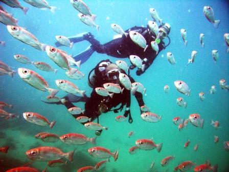 Mergulho com Cilindro em Arraial do Cabo