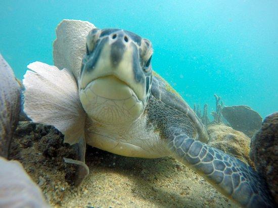 Mergulho com Cilindro em Búzios