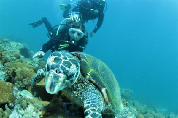 Mergulho com Cilindro em Arraial do Cabo