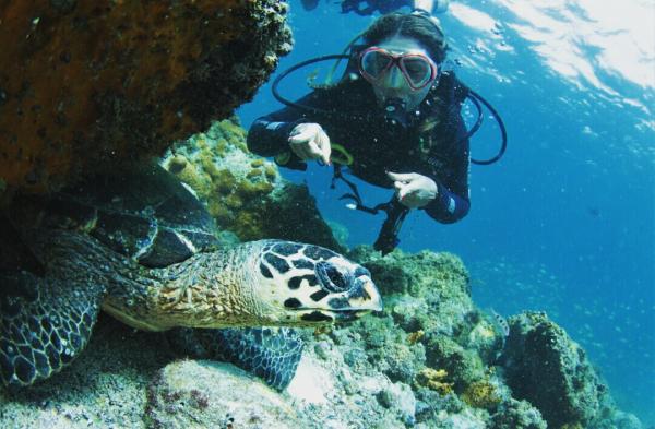 Mergulho com Cilindro em Arraial do Cabo