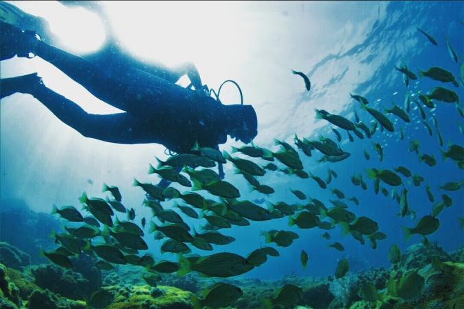 Mergulho com Cilindro em Arraial do Cabo