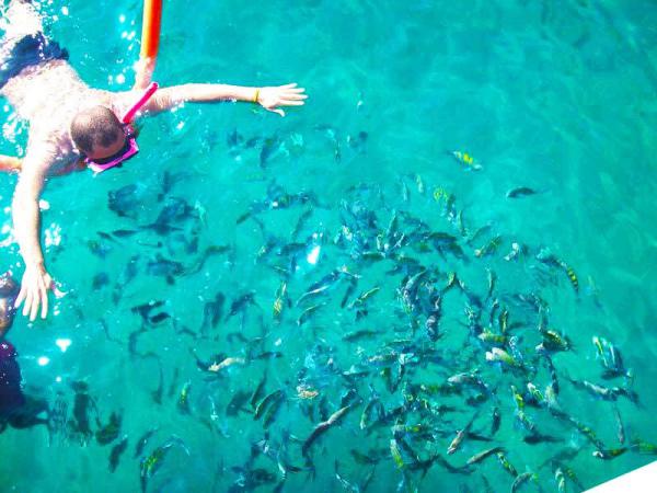 Passeio Meia Volta em Ilha Grande saindo de Conceição de Jacareí