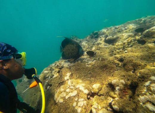 Mergulho com Cilindro em Porto Seguro