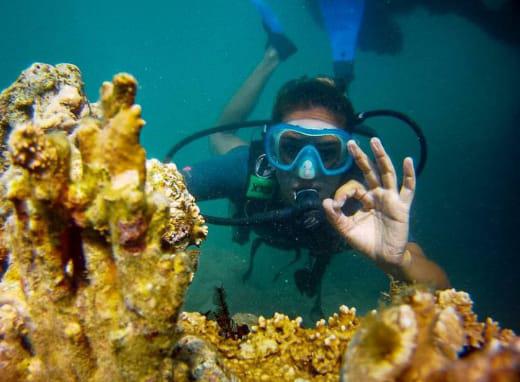 Mergulho com Cilindro em Porto Seguro