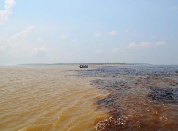 Passeio de Barco em Amazonas