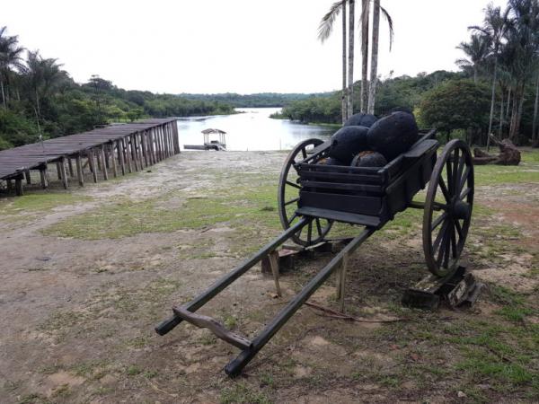 Passeio para Museu do Seringal saindo de Manaus