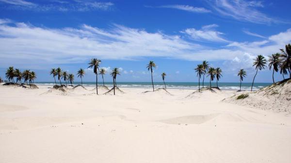 Passeio Mangue Seco saindo de Aracaju