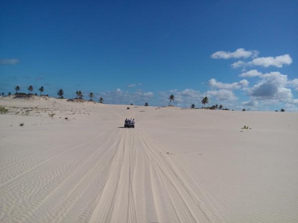 Passeio Mangue Seco saindo de Aracaju