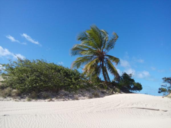 Passeio Mangue Seco saindo de Aracaju