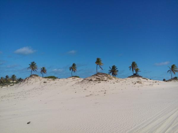 Passeio Mangue Seco saindo de Aracaju