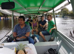 Passeio na Selva Amazônica saindo de Manaus Passeio na Selva Amazônica saindo de Manaus