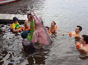 Encontro das Águas em Manaus