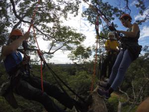 Arvorismo com Escalada na Amazônia