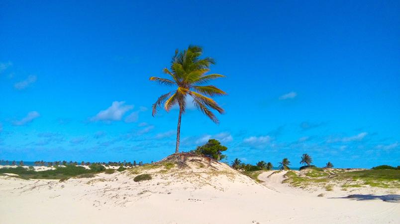 Passeio Mangue Seco saindo de Aracaju