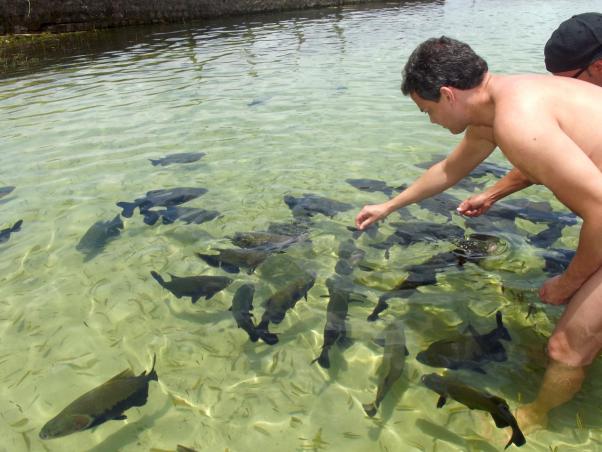 Passeio Lagoa dos Tambaquis saindo de Aracaju