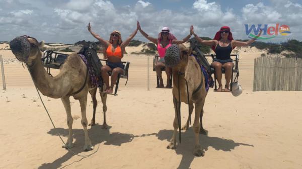 Passeio para Praia de Genipabu saindo de Natal