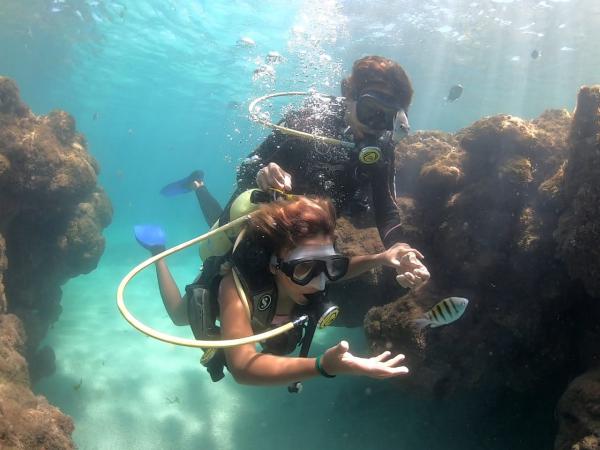 Mergulho com Cilindro em Porto de Galinhas