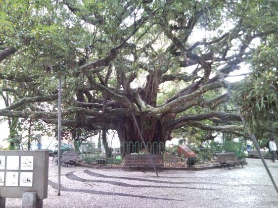 City Tour em Florianópolis