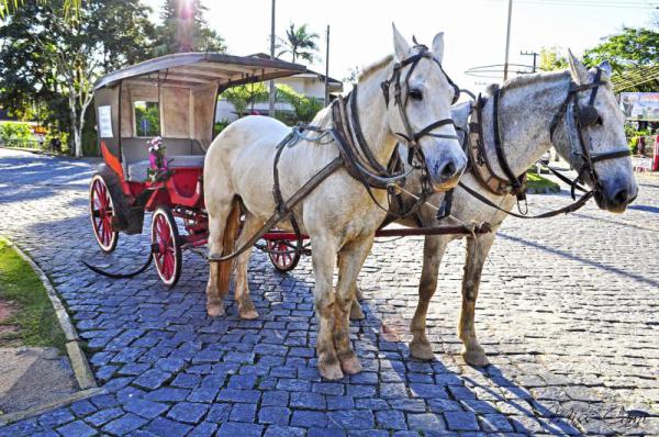 Passeio Vale Europeu em Blumenau e Pomerode