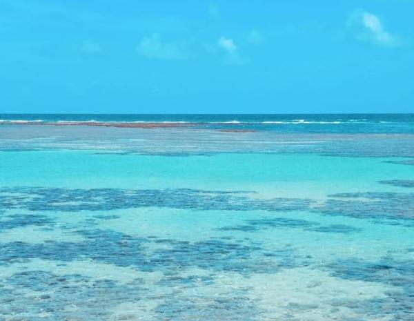 Passeio Maragogi saindo de Porto de Galinhas