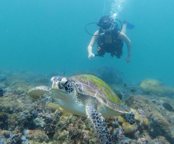 Mergulho em Salvador