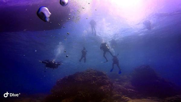 Mergulho com Cilindro em Cabo Frio