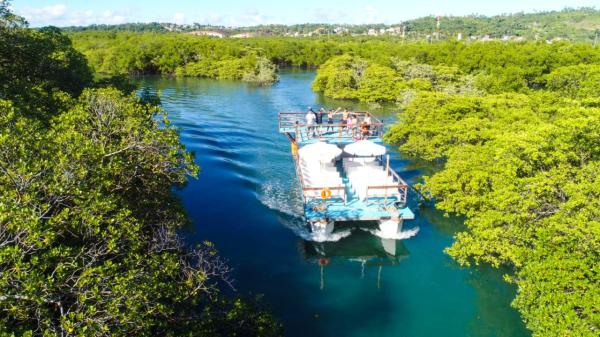 Passeios em Pernambuco