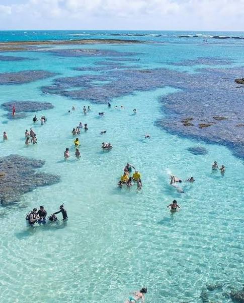 Passeio para Maragogi saindo de Maceió