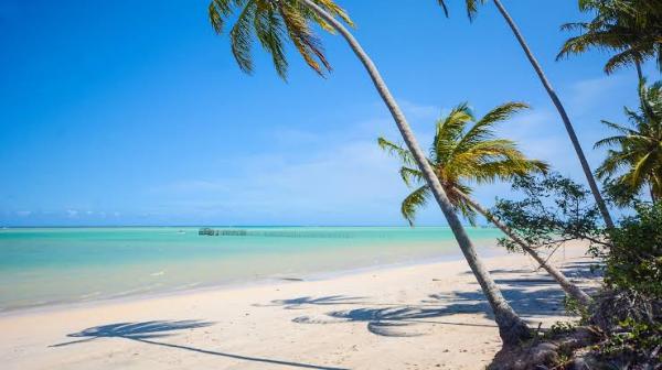 Passeio para Maragogi saindo de Maceió