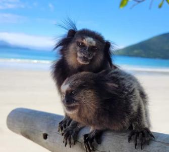 Passeio de Barco em Ubatuba