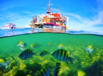 Passeio de Barco para Picãozinho em João Pessoa