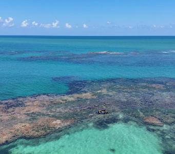 Passeio de Barco para Picãozinho em João Pessoa