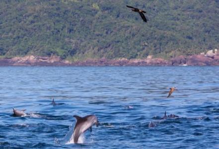 Passeio Ilha Grande saindo de Conceição de Jacareí