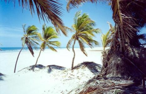 Passeio Mangue Seco saindo de Aracaju
