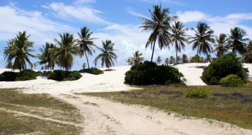 Passeio Mangue Seco saindo de Aracaju