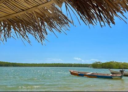 Passeio Mangue Seco saindo de Aracaju