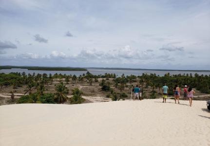 Passeio Mangue Seco saindo de Aracaju