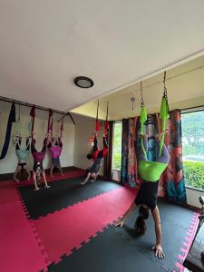 Aero Yoga -  Equilíbrio, Força e Paz Interior