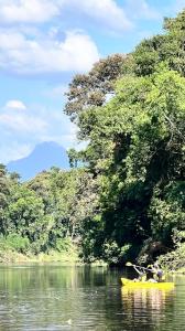 Canoagem no rio Nhundiquara em Morretes
