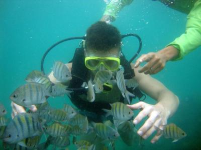 Maragogi, Lancha, Piscina, Mergulho e Praia de Antunes