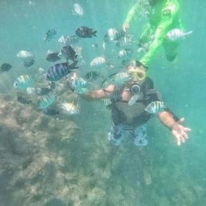 Maragogi, Lancha, Piscina, Mergulho e Praia de Antunes