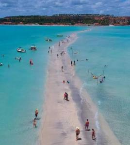 Maragogi, Lancha, Piscina, Mergulho e Praia de Antunes