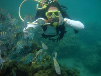Maragogi, Lancha, Piscina, Mergulho e Praia de Antunes
