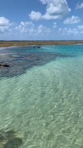 Maragogi, Lancha, Piscina, Mergulho e Praia de Antunes