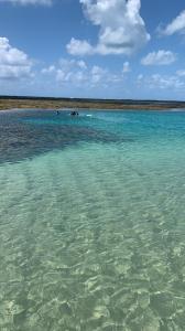 Maragogi, Lancha, Piscina, Mergulho e Praia de Antunes