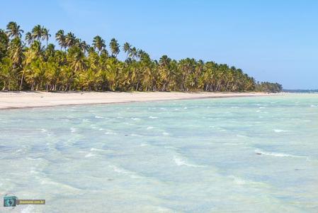 Maragogi, Lancha, Piscina, Mergulho e Praia de Antunes